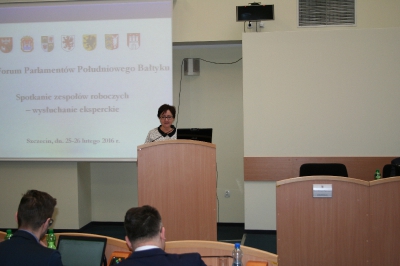 spotkanie ekspertów_1