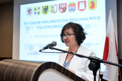Sejmik Województwa Zachodniopomorskiego gospodarzem XV Forum Parlamentów Regionalnych Południowego Bałtyku w Szczecinie-1